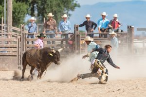 Strong bull running after, chasing young cowboy in Rodeo Arena. Rodeo clown protecting cowboy in the arena. Rodeo Bull Riding Event. Spanish Fork, Utah, USA.